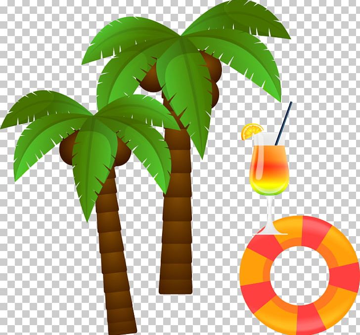 Coconut Euclidean Tree PNG, Clipart, Arecaceae, Beach, Christmas Tree, Coconut, Coconut Tree Free PNG Download