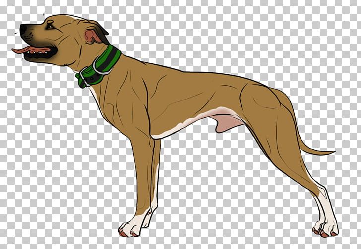 Dog Breed Italian Greyhound Azawakh Leash PNG, Clipart, Azawakh, Breed, Carnivoran, Crossbreed, Dog Free PNG Download