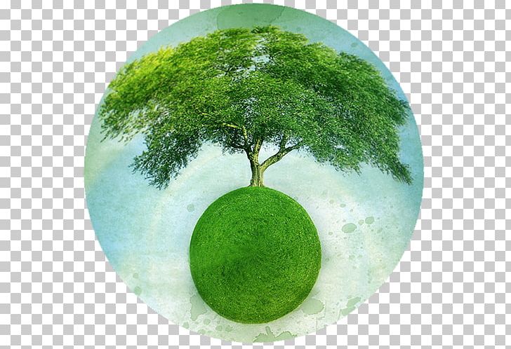 Gaia Hypothesis Earth Mother Nature PNG, Clipart, Earth, Ecology, Gaia, Gaia Hypothesis, Grass Free PNG Download