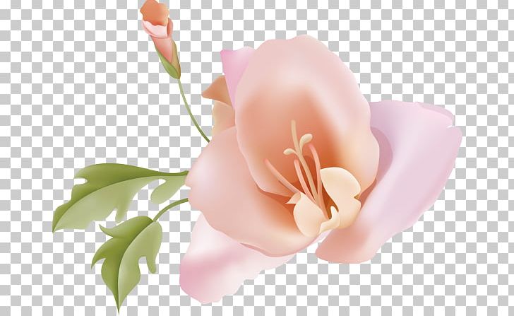 Graphics Illustration Portable Network Graphics Design PNG, Clipart, Art, Download, Drawing, Flower, Flowering Plant Free PNG Download