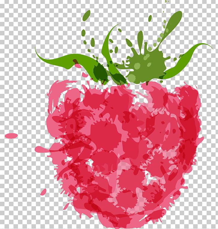 Raspberry Illustration PNG, Clipart, Berry, Flower, Food, Fruit, Fruit Nut Free PNG Download