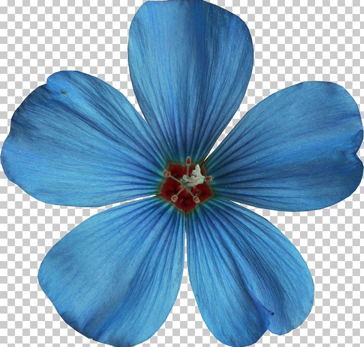 Blue Color PNG, Clipart, Blue, Blue Color, Blue Floral, Clip Art, Color Free PNG Download