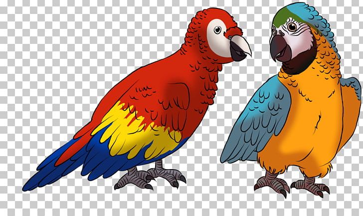 Macaw Parakeet Beak Feather Fauna PNG, Clipart, Animals, Beak, Bird, Common Pet Parakeet, Fauna Free PNG Download