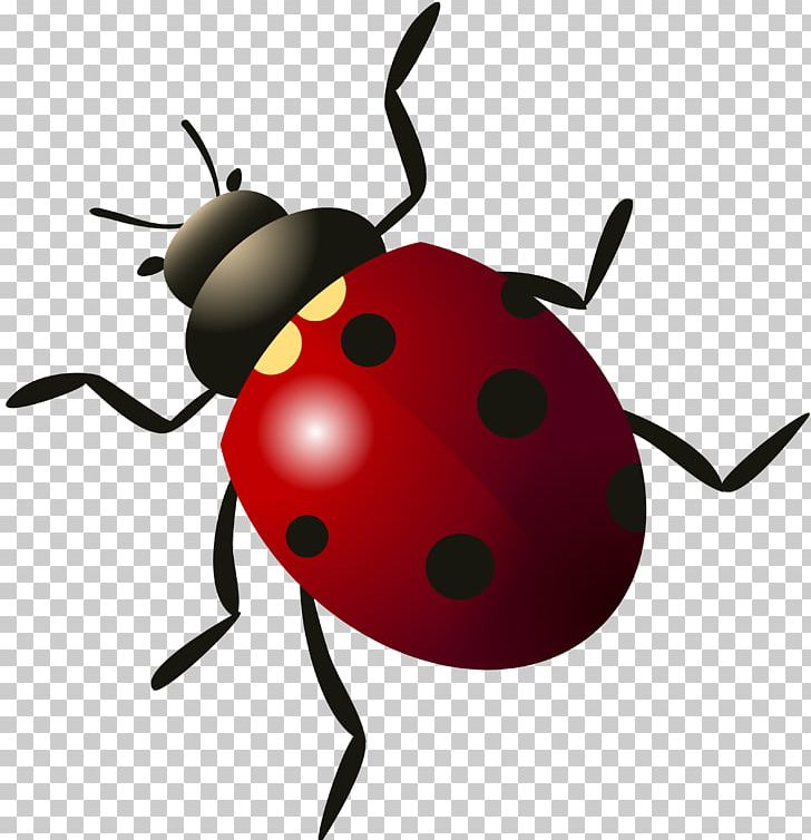 Beetle Ladybird PNG, Clipart, Animals, Beetle, Coccinella Septempunctata, Coleomegilla Maculata, Computer Icons Free PNG Download
