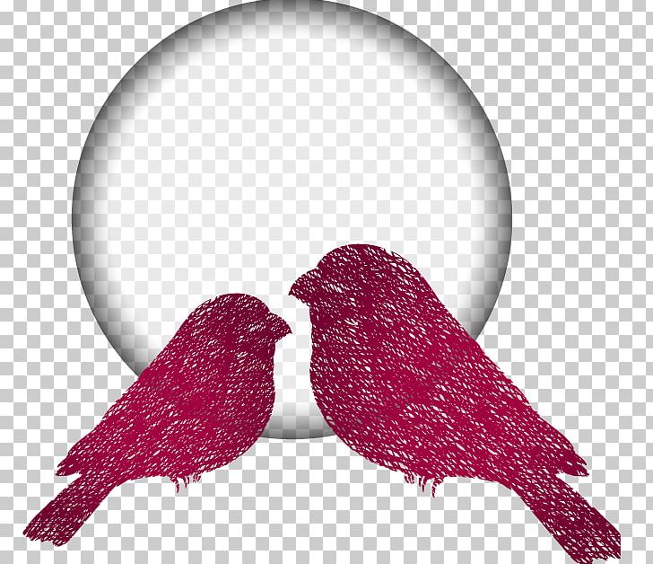 Bird Red White PNG, Clipart, Animals, Balls Vector, Beak, Bird, Birds Free PNG Download