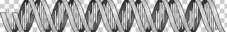 DNA Nucleic Acid Double Helix Gene PNG, Clipart, Angle, Biology, Black And White, Chromosome, Computer Icons Free PNG Download