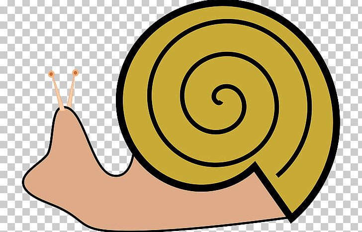 Sea Snail Gastropod Shell PNG, Clipart, Area, Artwork, Cartoon, Cartoon Snail, Circle Free PNG Download