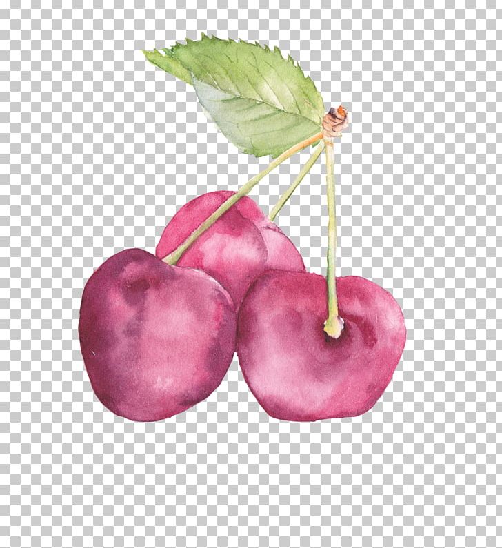 Auglis Watercolor Painting Art Drawing PNG, Clipart, Apple, Art, Auglis, Blueberry, Cherry Free PNG Download