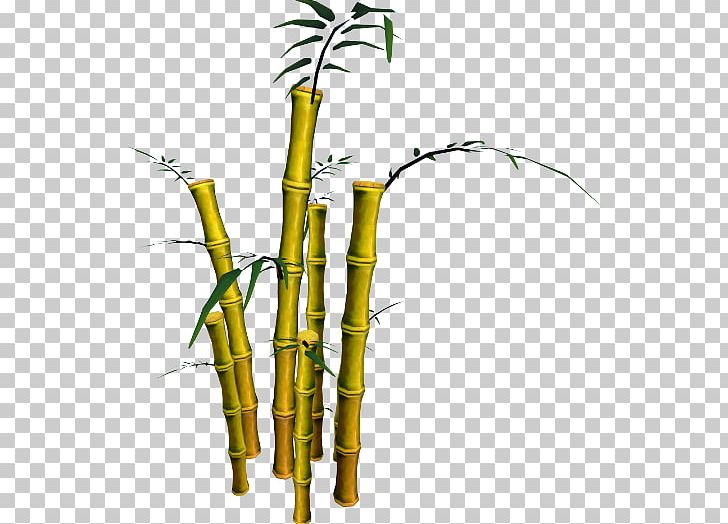 Bamboo Musical Instruments Phyllostachys Aurea RuneScape Plant Stem PNG, Clipart, Asgarnia, Bamboo, Bamboo Musical Instruments, Bambusodae, Branch Free PNG Download