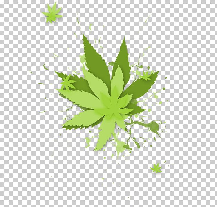 Leaf Drawing Desktop PNG, Clipart, Blog, Cannabis, Computer, Computer Wallpaper, Desktop Wallpaper Free PNG Download