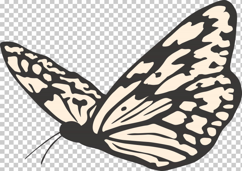 Butterfly PNG, Clipart, Animal Figure, Blackandwhite, Brushfooted Butterfly, Butterfly, Cynthia Subgenus Free PNG Download