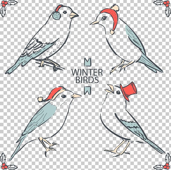 Finch Bird Drawing Feather PNG, Clipart, Artwork, Beak, Bird Cage, Birds Vector, Cute Bird Free PNG Download