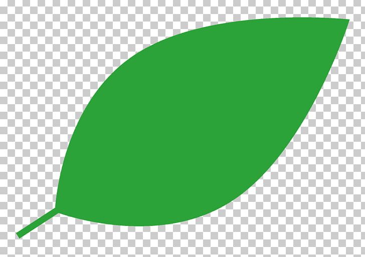 Green Leaf Line PNG, Clipart, Angle, Grass, Green, Leaf, Line Free PNG Download