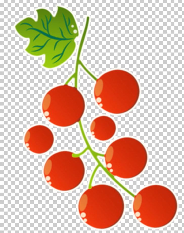 Superfood Natural Foods Cherry PNG, Clipart, Branch, Cherry, Food, Fruit, Fruit Nut Free PNG Download