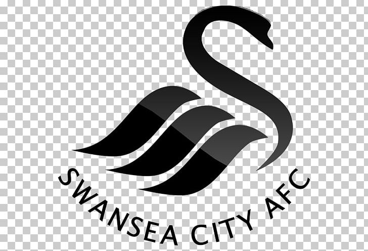 Swansea City A.F.C. Under-23s Derby County F.C. Premier League Manchester City F.C. PNG, Clipart, Afc Bournemouth, Association Football Manager, Black And White, Brand, Derby County Fc Free PNG Download
