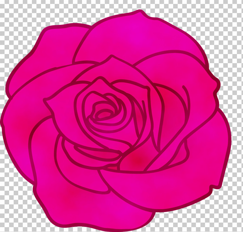 Garden Roses PNG, Clipart, Floral, Flower, Garden Roses, Hybrid Tea Rose, Magenta Free PNG Download