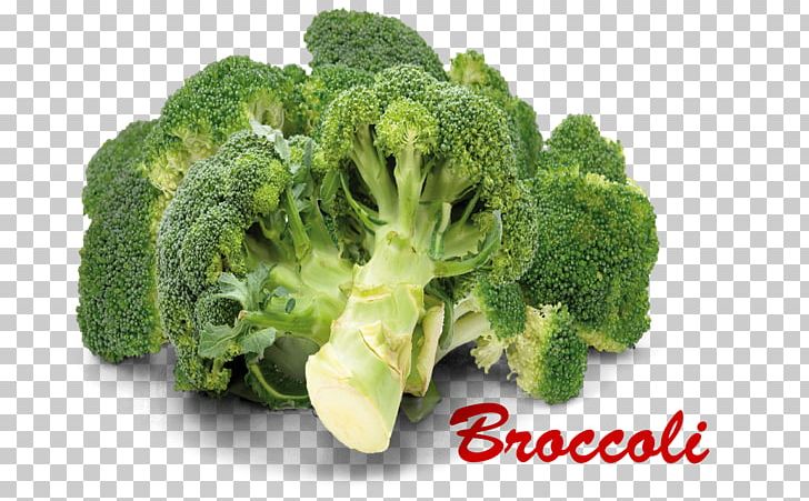 Broccoli Vegetarian Cuisine Cruciferous Vegetables Portable Network Graphics PNG, Clipart, Broccoli, Cruciferous Vegetables, Food, Greens, Leaf Vegetable Free PNG Download
