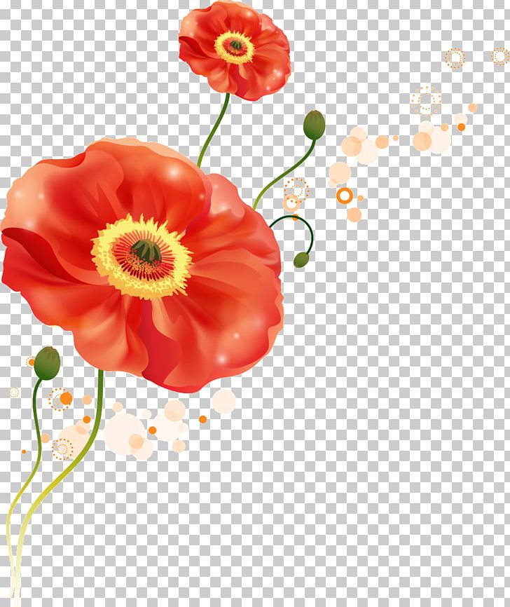 Sticker Mural Flower Wall Decal Decorative Arts PNG, Clipart, Art, Common Poppy, Coquelicot, Flower, Flower Arranging Free PNG Download
