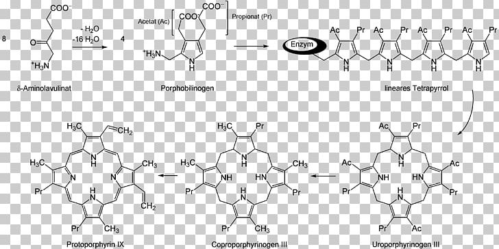 5-Aminolevulinic Acid Aminolevulinic Acid Synthase Uroporphyrinogen III Succinyl-CoA PNG, Clipart, 5aminolevulinic Acid, Angle, Area, Biosynthesis, Black And White Free PNG Download