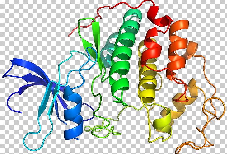 Cyclin-dependent Kinase 2 Protein Kinase PNG, Clipart, Animal Figure, Artwork, Beta Adrenergic Receptor Kinase, Casein Kinase 2, Cell Division Free PNG Download