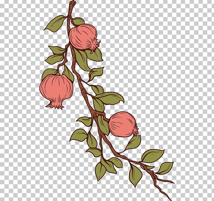 Flower Stock Photography PNG, Clipart, Branch, Fall Season, Flora, Floral Design, Flower Free PNG Download