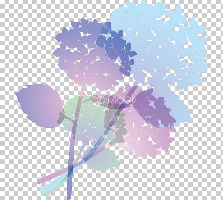 French Hydrangea Petal Niigata PNG, Clipart, Blue, Computer Wallpaper, East Asian Rainy Season, Floral Design, Flower Free PNG Download