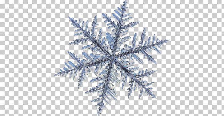 Snowflake Dendrite Crystal Macro Photography PNG, Clipart, Branch, Conifer, Crystal, Dendrite, Fir Free PNG Download