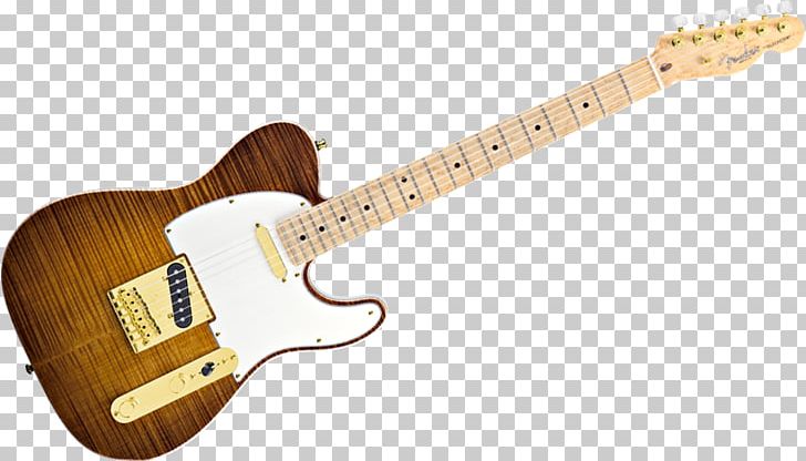 Fender Telecaster Thinline Guitar Fingerboard Fender Musical Instruments Corporation PNG, Clipart, Acoustic Electric Guitar, Gold, Guitar Accessory, Musical Instruments, Neck Free PNG Download