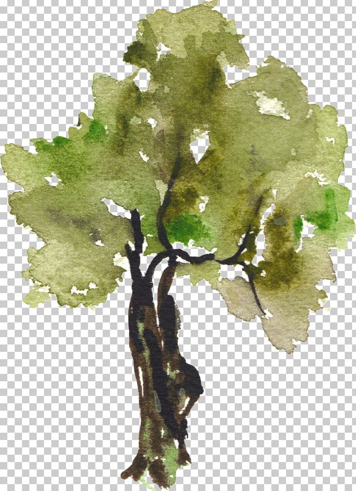Tree Watercolor Painting PNG, Clipart, Branch, Christmas Tree, Cli, Decoration, Decorative Patterns Free PNG Download