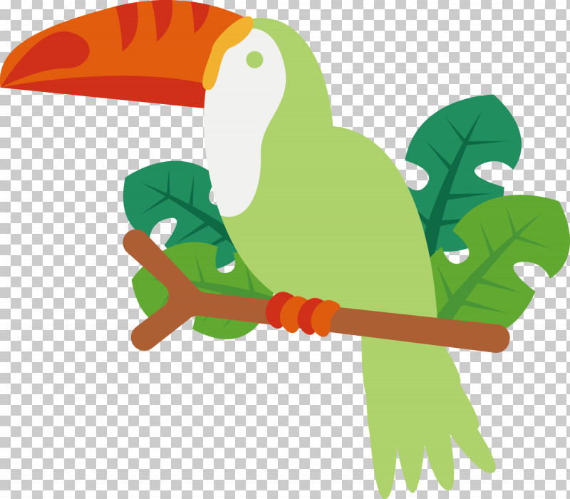 Macaw Parrots Toucans Beak Green PNG, Clipart, Beak, Green, Hm, Line, Macaw Free PNG Download