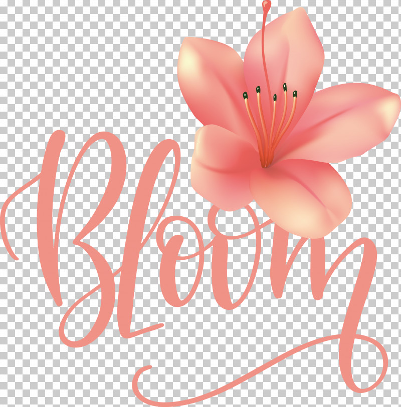 Bloom Spring PNG, Clipart, Bloom, Cut Flowers, Data, Flower, Greeting Card Free PNG Download