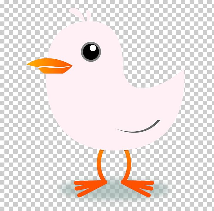 Bird Domestic Canary PNG, Clipart, Animals, Beak, Bird, Blog, Chicken Free PNG Download