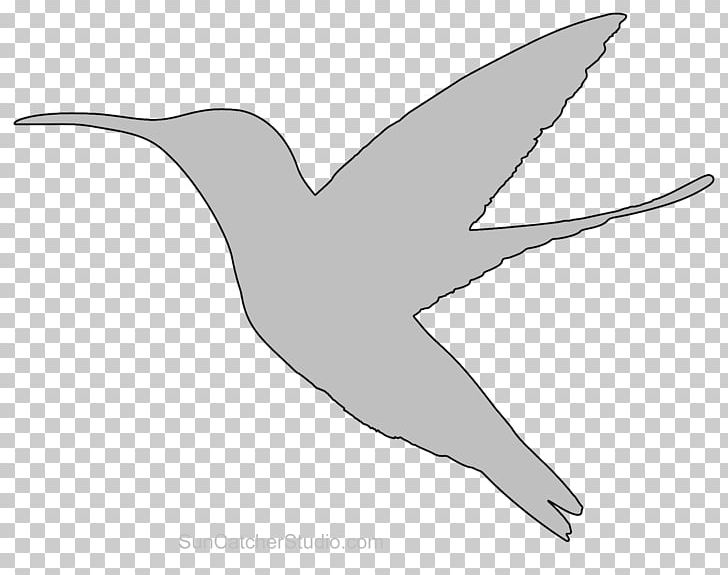 Duck Wader Beak Seabird Feather PNG, Clipart,  Free PNG Download