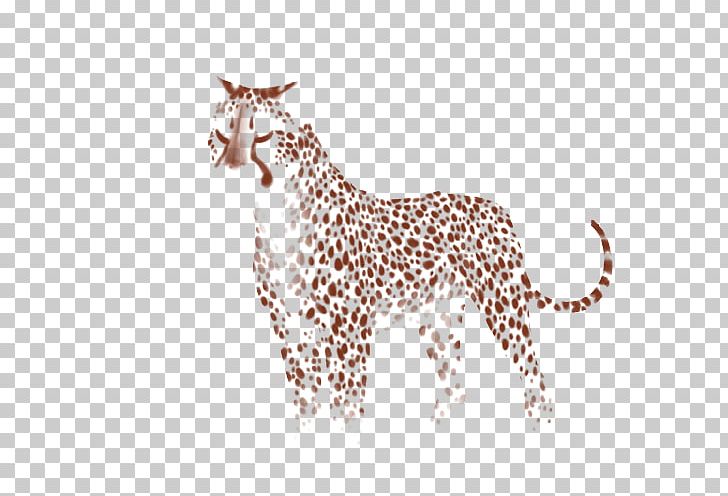Giraffe Felidae Cheetah Leopard Lion PNG, Clipart, Animal, Animal Figure, Animals, Big Cat, Big Cats Free PNG Download