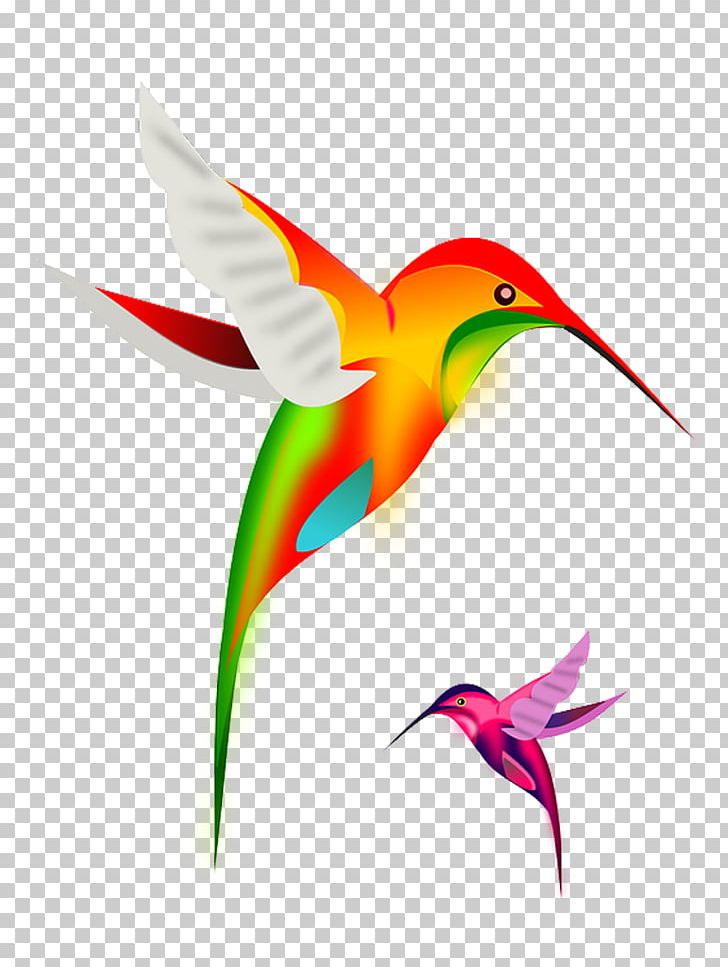 Hummingbird PNG, Clipart, Animals, Beak, Bird, Clip Art, Computer Icons Free PNG Download