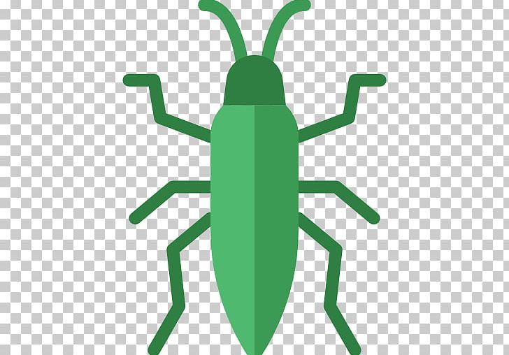 Insect Flea Pest Louse Rat PNG, Clipart, Arthropod, Artwork, Bedbug, Computer Icons, Dog Flea Free PNG Download
