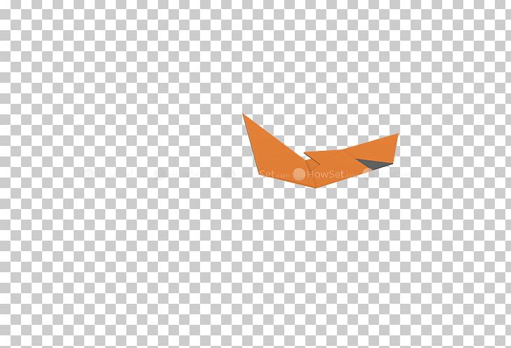 Line Angle PNG, Clipart, Angle, Line, Mandarin Duck, Orange, Wing Free PNG Download