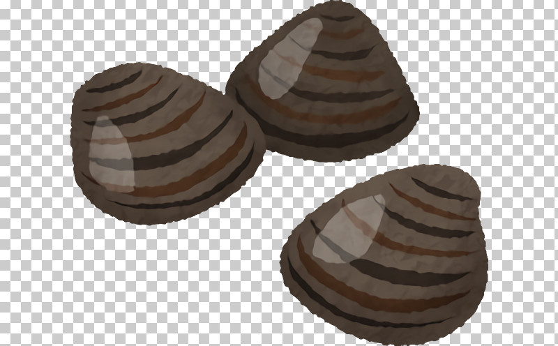 Chocolate PNG, Clipart, Bivalve, Chocolate, Chocolate Truffle, Clam, Confectionery Free PNG Download