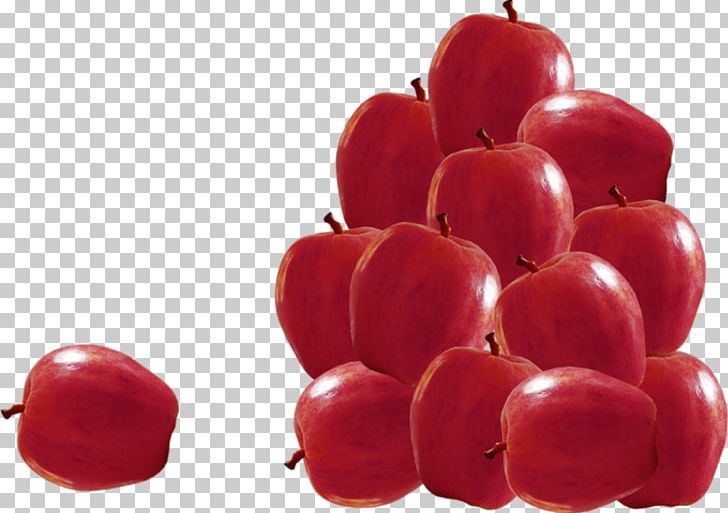 Apple Tomato Fruit Food PNG, Clipart, Acerola, Acerola Family, Apple, Apple Fruit, Cherry Free PNG Download