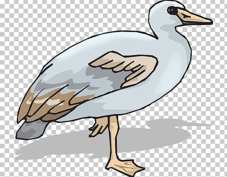 Duck Goose PNG, Clipart, Animals, Artwork, Beak, Bird, Cartoon Free PNG Download