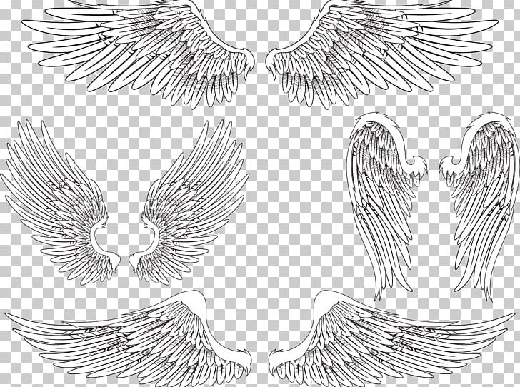 Angel Wing Bird Feather PNG, Clipart, Angel Wings, Bird Flight, Black And White, Cartoon, Chicken Wings Free PNG Download