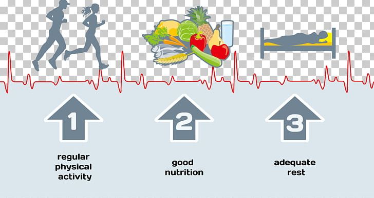 Healthy Diet Lifestyle PNG, Clipart, Brand, Diagram, Diet, Diet Vector, Disease Free PNG Download