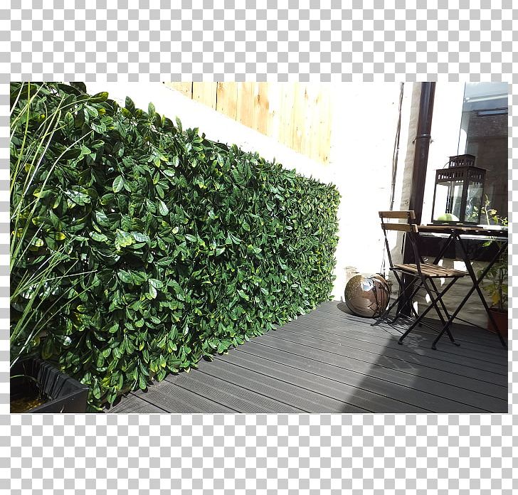 Hedge Fence Garden Patio Furniture PNG, Clipart, Box, Chair, Evergreen, Fence, Furniture Free PNG Download