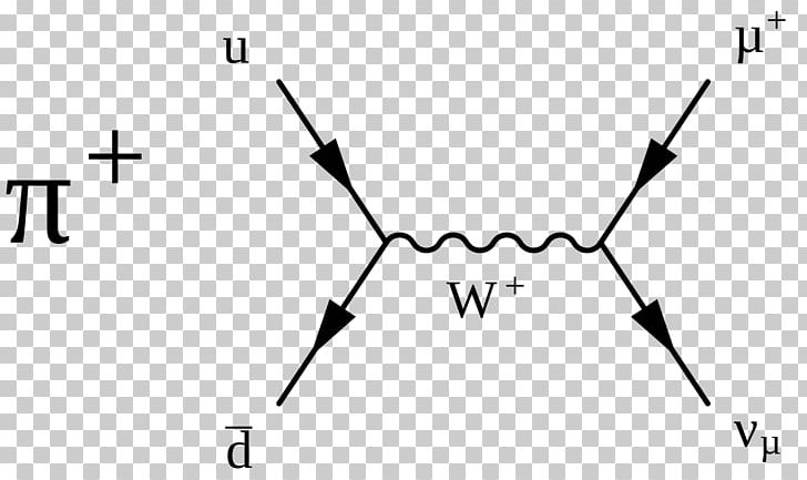 Particle Physics Pion Weak Interaction Particle Decay Feynman Diagram PNG, Clipart, Angle, Area, Black, Black And White, Boson Free PNG Download