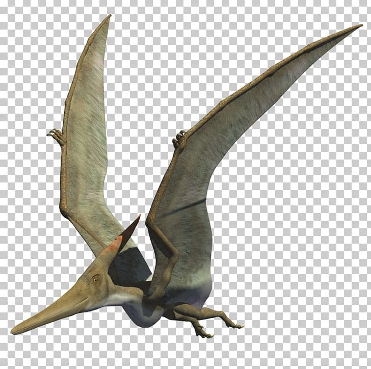 Pteranodon Late Cretaceous Carnivores 2 Velociraptor Therizinosaurus PNG, Clipart, Carnivores 2, Cretaceous, Dinosaur, Fantasy, Gallimimus Free PNG Download