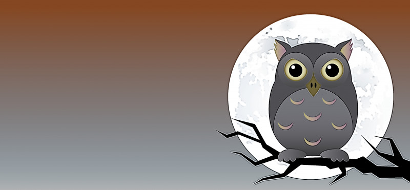 Happy Halloween PNG, Clipart, Beak, Bird Of Prey, Birds, Cartoon, Drawing Free PNG Download