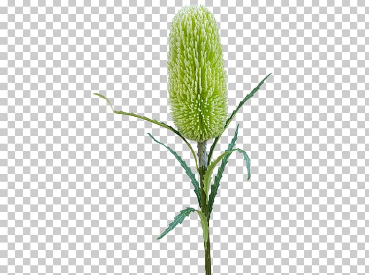 Artificial Flower Banksia Flower Bouquet Plant Stem PNG, Clipart, Artificial Flower, Artificial Flowers Mala, Banksia, Commodity, Flower Free PNG Download