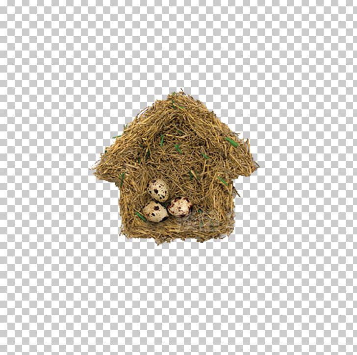 Bird PNG, Clipart, Adobe Illustrator, Animals, Apartment House, Bird, Branches Free PNG Download
