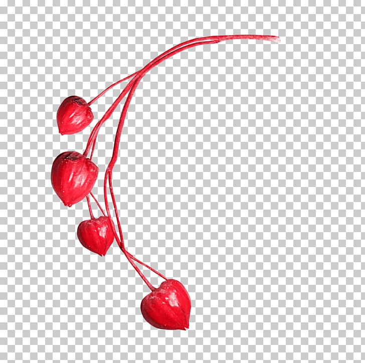 Cherry Food Fruit PNG, Clipart, Cherry, Food, Fruit, Fruit Nut Free PNG Download