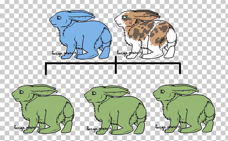 Hare /m/02csf Frog Illustration PNG, Clipart, Amphibian, Animal, Animal Figure, Area, Art Free PNG Download